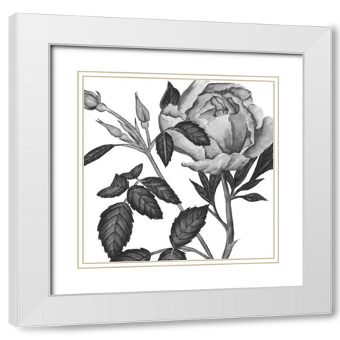 Flowers in Grey I White Modern Wood Framed Art Print with Double Matting by Wang, Melissa