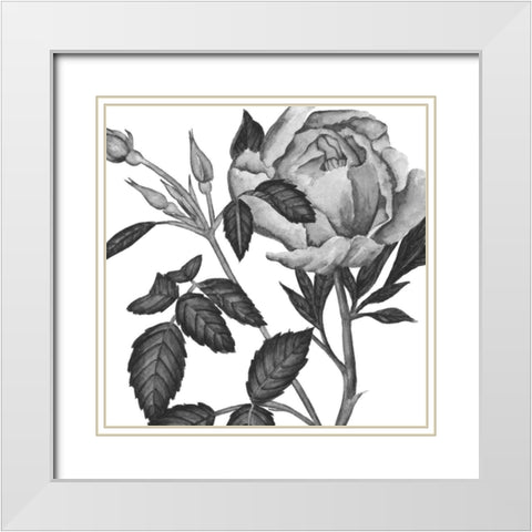 Flowers in Grey I White Modern Wood Framed Art Print with Double Matting by Wang, Melissa