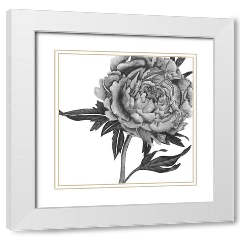 Flowers in Grey II White Modern Wood Framed Art Print with Double Matting by Wang, Melissa