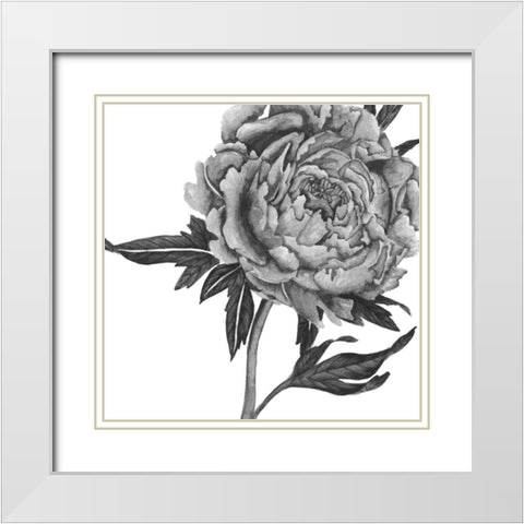 Flowers in Grey II White Modern Wood Framed Art Print with Double Matting by Wang, Melissa