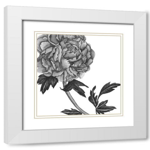 Flowers in Grey III White Modern Wood Framed Art Print with Double Matting by Wang, Melissa