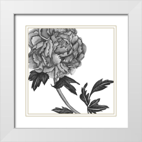 Flowers in Grey III White Modern Wood Framed Art Print with Double Matting by Wang, Melissa