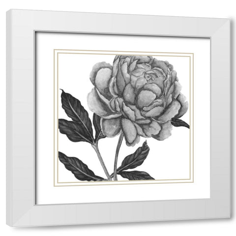 Flowers in Grey IV White Modern Wood Framed Art Print with Double Matting by Wang, Melissa