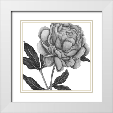 Flowers in Grey IV White Modern Wood Framed Art Print with Double Matting by Wang, Melissa