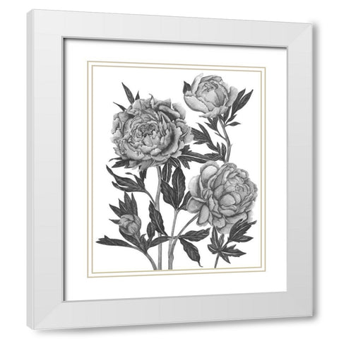 Flowers in Grey V White Modern Wood Framed Art Print with Double Matting by Wang, Melissa