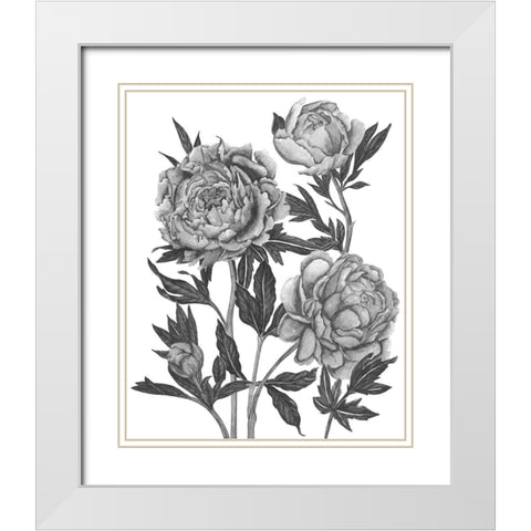 Flowers in Grey V White Modern Wood Framed Art Print with Double Matting by Wang, Melissa