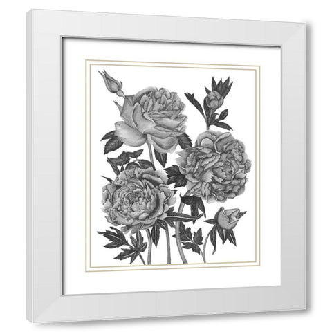 Flowers in Grey VI White Modern Wood Framed Art Print with Double Matting by Wang, Melissa