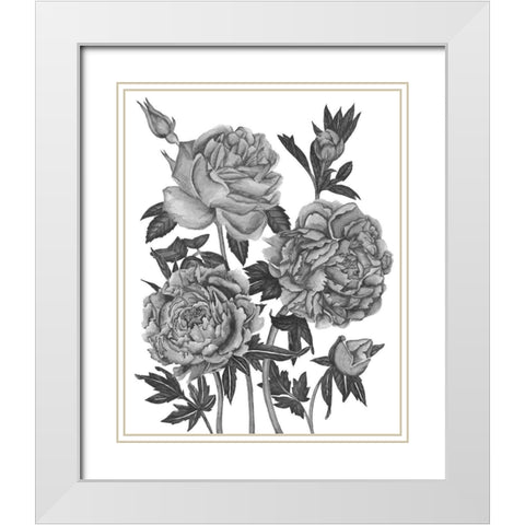 Flowers in Grey VI White Modern Wood Framed Art Print with Double Matting by Wang, Melissa