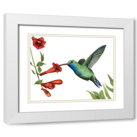 Hummingbird and Flower I White Modern Wood Framed Art Print with Double Matting by Popp, Grace