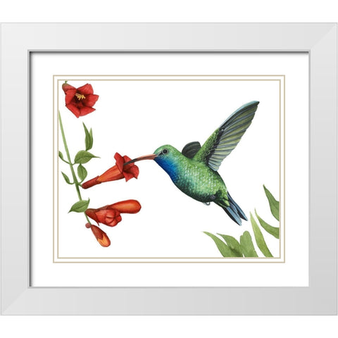 Hummingbird and Flower I White Modern Wood Framed Art Print with Double Matting by Popp, Grace