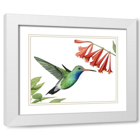 Hummingbird and Flower II White Modern Wood Framed Art Print with Double Matting by Popp, Grace