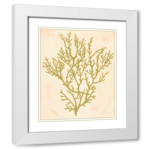 Deep Sea Coral I White Modern Wood Framed Art Print with Double Matting by Popp, Grace