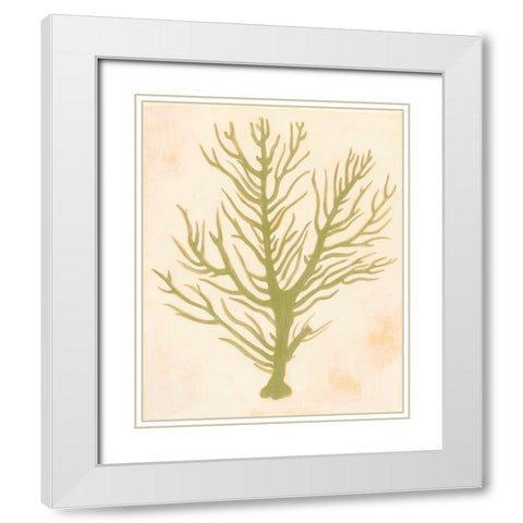 Deep Sea Coral II White Modern Wood Framed Art Print with Double Matting by Popp, Grace