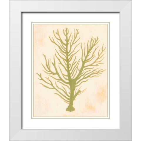 Deep Sea Coral II White Modern Wood Framed Art Print with Double Matting by Popp, Grace
