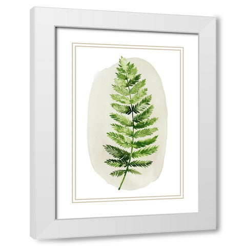 Spot Fern II White Modern Wood Framed Art Print with Double Matting by Popp, Grace