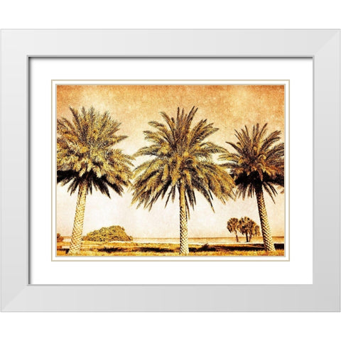 Palms on Brown II White Modern Wood Framed Art Print with Double Matting by Nall, Skip
