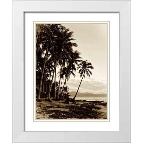 Island Palms I White Modern Wood Framed Art Print with Double Matting by Nall, Skip