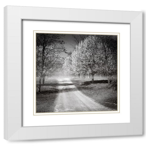 Southern Swing I White Modern Wood Framed Art Print with Double Matting by Nall, Skip