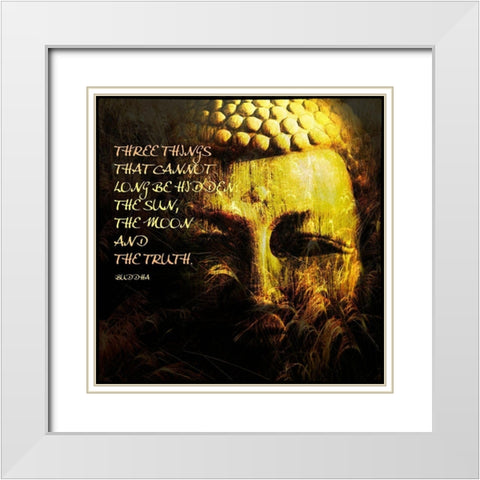 Spiritual III White Modern Wood Framed Art Print with Double Matting by Nall, Skip