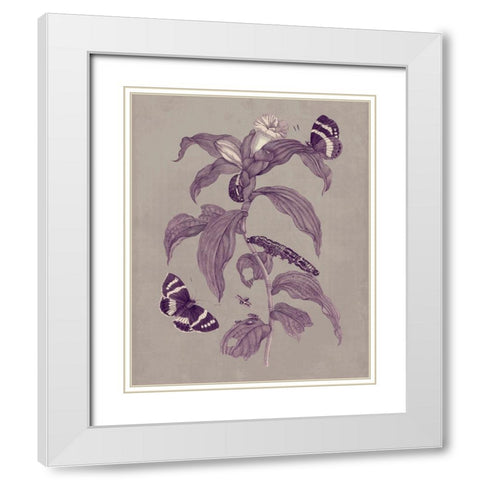 Nature Study in Plum and Taupe I White Modern Wood Framed Art Print with Double Matting by Merian, Maria S.