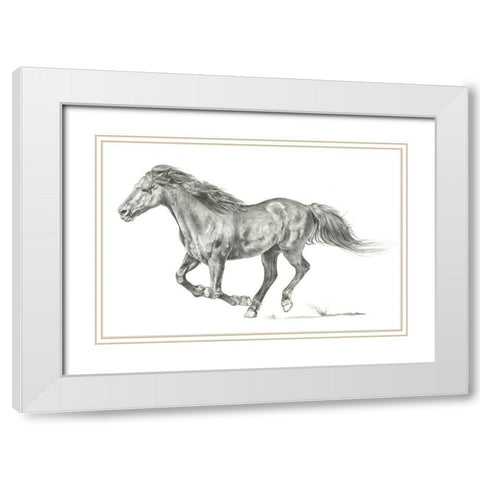 Wild Horse Portrait I White Modern Wood Framed Art Print with Double Matting by Parker, Jennifer Paxton