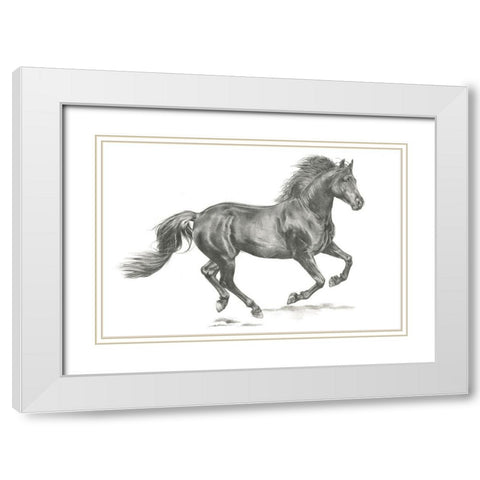 Wild Horse Portrait II White Modern Wood Framed Art Print with Double Matting by Parker, Jennifer Paxton