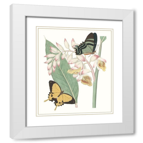 Les Papillons I White Modern Wood Framed Art Print with Double Matting by Vision Studio