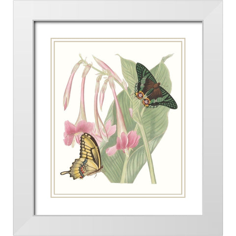 Les Papillons II White Modern Wood Framed Art Print with Double Matting by Vision Studio