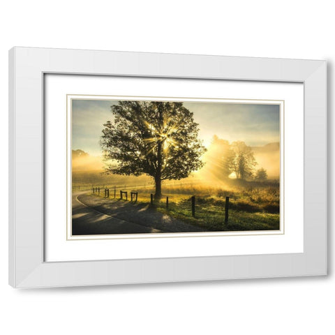 Custom Wake Up Call White Modern Wood Framed Art Print with Double Matting by Head, Danny