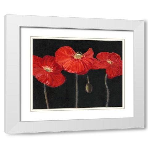 Poppy Trio I White Modern Wood Framed Art Print with Double Matting by Iafrate, Sandra