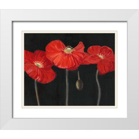Poppy Trio I White Modern Wood Framed Art Print with Double Matting by Iafrate, Sandra