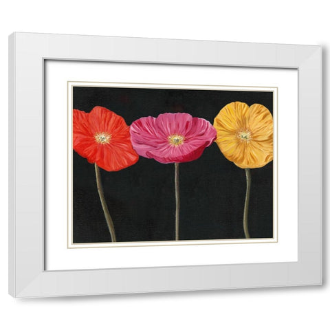 Poppy Trio II White Modern Wood Framed Art Print with Double Matting by Iafrate, Sandra