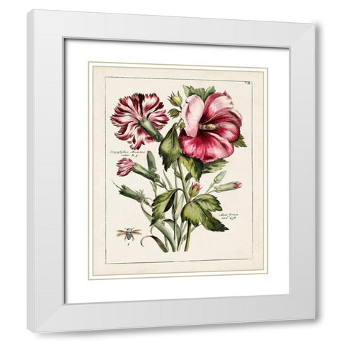 Pink Hibiscus White Modern Wood Framed Art Print with Double Matting by Unknown