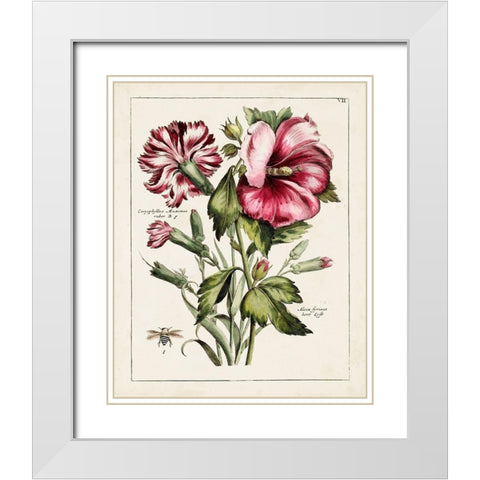 Pink Hibiscus White Modern Wood Framed Art Print with Double Matting by Unknown