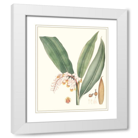 Soft Tropical II White Modern Wood Framed Art Print with Double Matting by Smith, George