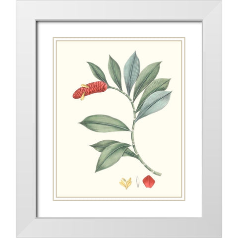 Soft Tropical VI White Modern Wood Framed Art Print with Double Matting by Smith, George
