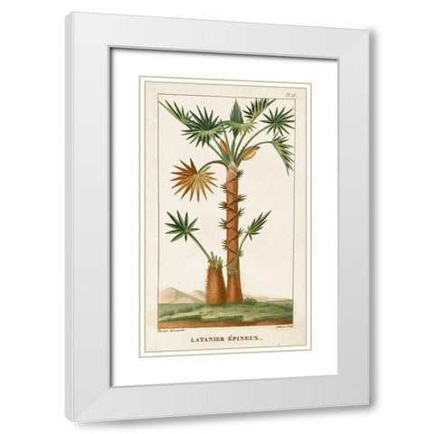 Turpin Exotic Palms I White Modern Wood Framed Art Print with Double Matting by Turpin