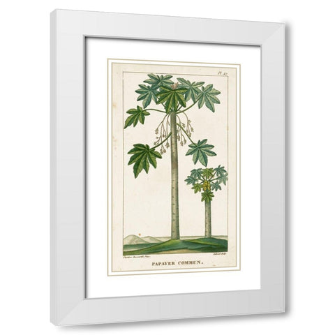 Turpin Exotic Palms II White Modern Wood Framed Art Print with Double Matting by Turpin