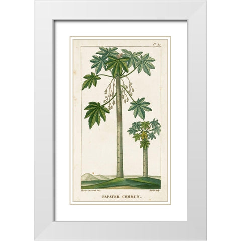 Turpin Exotic Palms II White Modern Wood Framed Art Print with Double Matting by Turpin