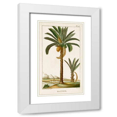Turpin Exotic Palms IV White Modern Wood Framed Art Print with Double Matting by Turpin
