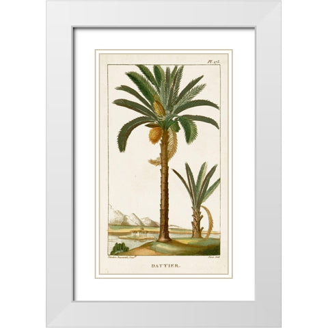 Turpin Exotic Palms IV White Modern Wood Framed Art Print with Double Matting by Turpin