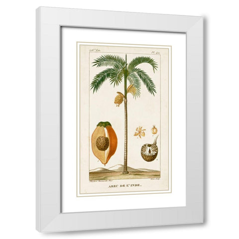 Turpin Exotic Palms V White Modern Wood Framed Art Print with Double Matting by Turpin