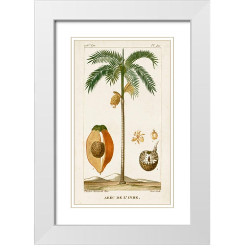 Turpin Exotic Palms V White Modern Wood Framed Art Print with Double Matting by Turpin