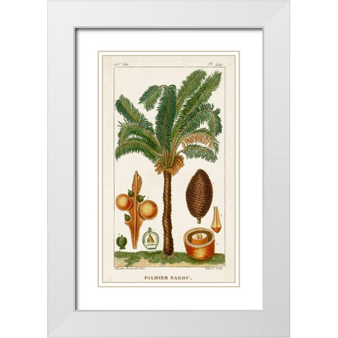 Turpin Exotic Palms VII White Modern Wood Framed Art Print with Double Matting by Turpin