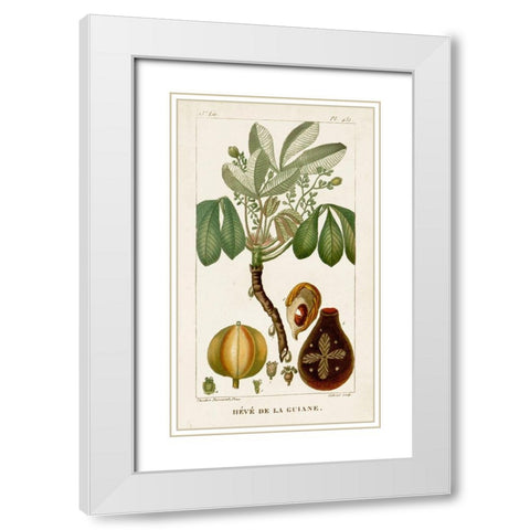 Turpin Exotic Palms VIII White Modern Wood Framed Art Print with Double Matting by Turpin