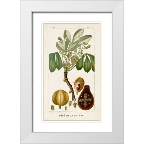 Turpin Exotic Palms VIII White Modern Wood Framed Art Print with Double Matting by Turpin