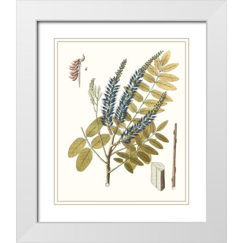 Lacy Leaves II White Modern Wood Framed Art Print with Double Matting by Unknown