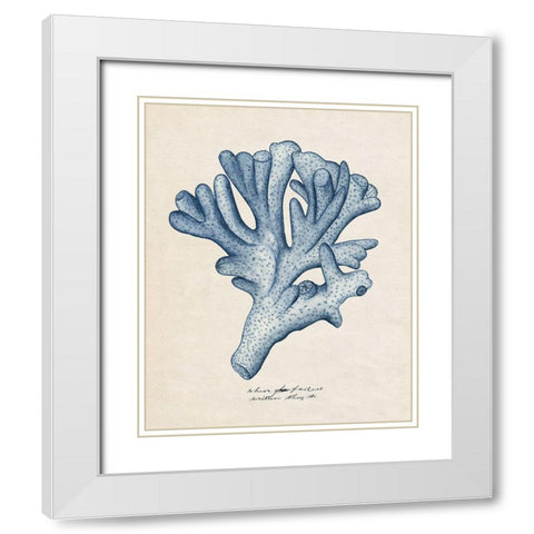 Sea Coral Study I White Modern Wood Framed Art Print with Double Matting by Wang, Melissa