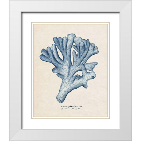 Sea Coral Study I White Modern Wood Framed Art Print with Double Matting by Wang, Melissa