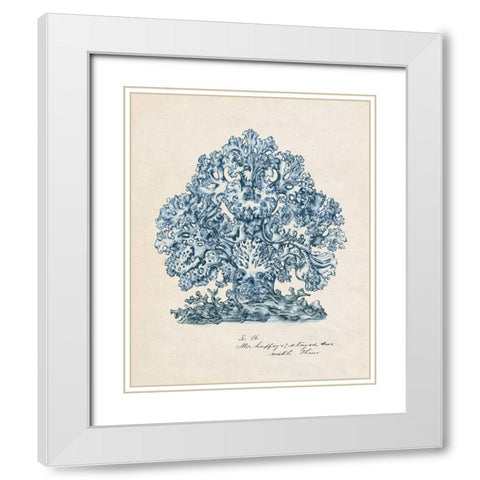 Sea Coral Study II White Modern Wood Framed Art Print with Double Matting by Wang, Melissa